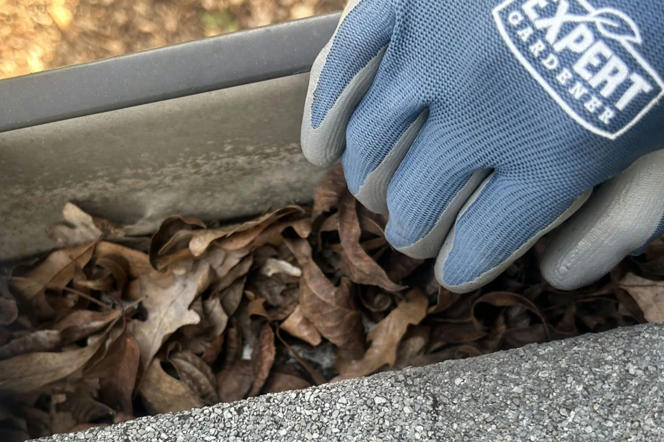 Gutter Cleaning Mount Washington