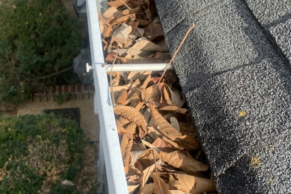 Gutter Cleaning Mount Washington