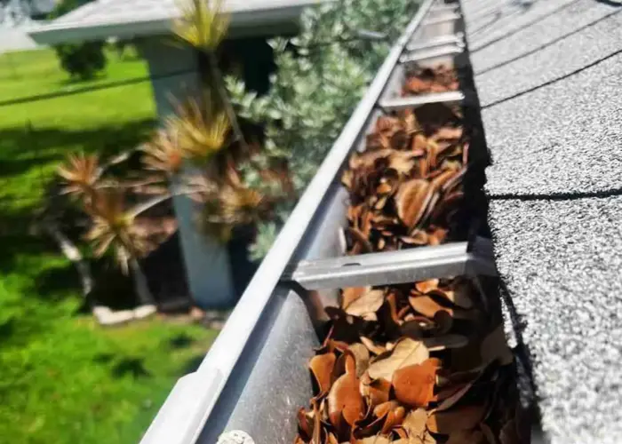 Gutter Cleaning Mount Washington home page